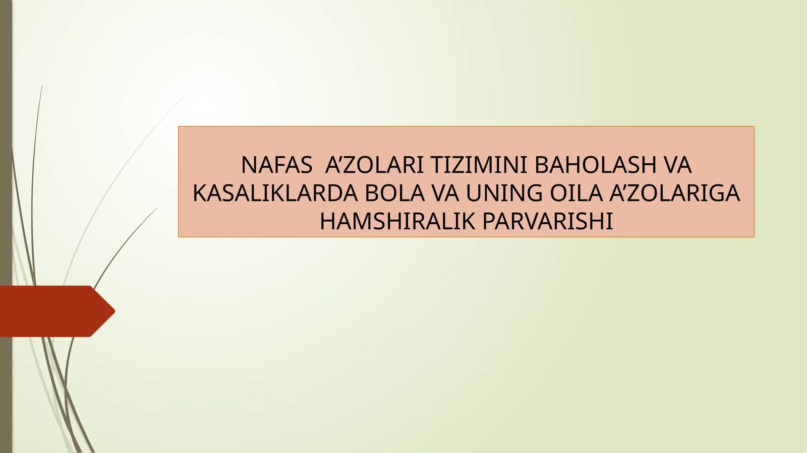 NAFAS A’ZOLARI TIZIMINI BAHOLASH VA KASALIKLARDA BOLA VA UNING OILA A’ZOLARIGA HAMSHIRALIK PARVARISHI
