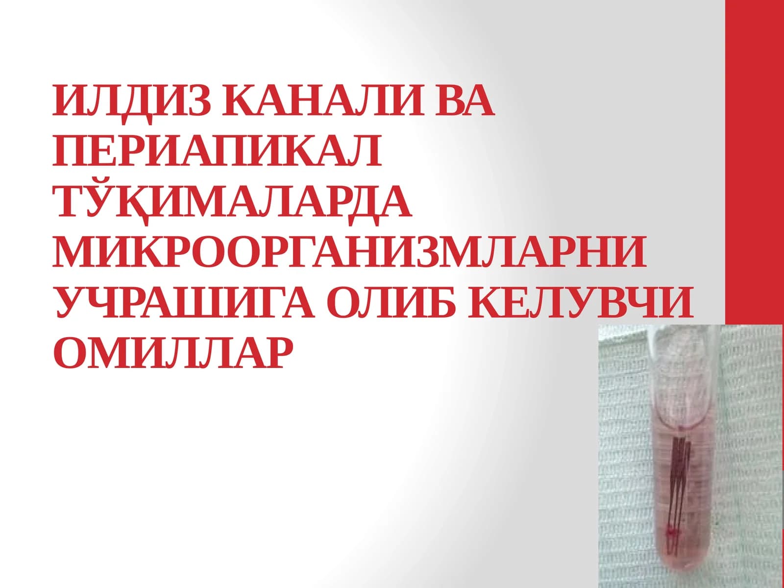 Илдиз канали ва периапикал тўқималарда микроорганизмларни учрашига олиб келувчи омиллар