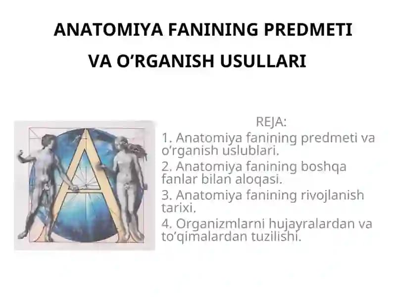 АNАTОMIYA FАNINING PRЕDMЕTI VА O’RGАNISH USULLАRI