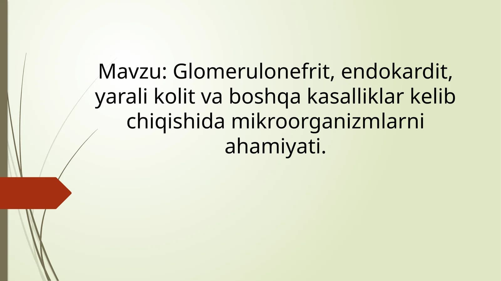 Glomerulonefrit, Endokardit, Yaralikolit va boshqa kasalliklar kechishi da mikroorganizmlarni ahamiyati