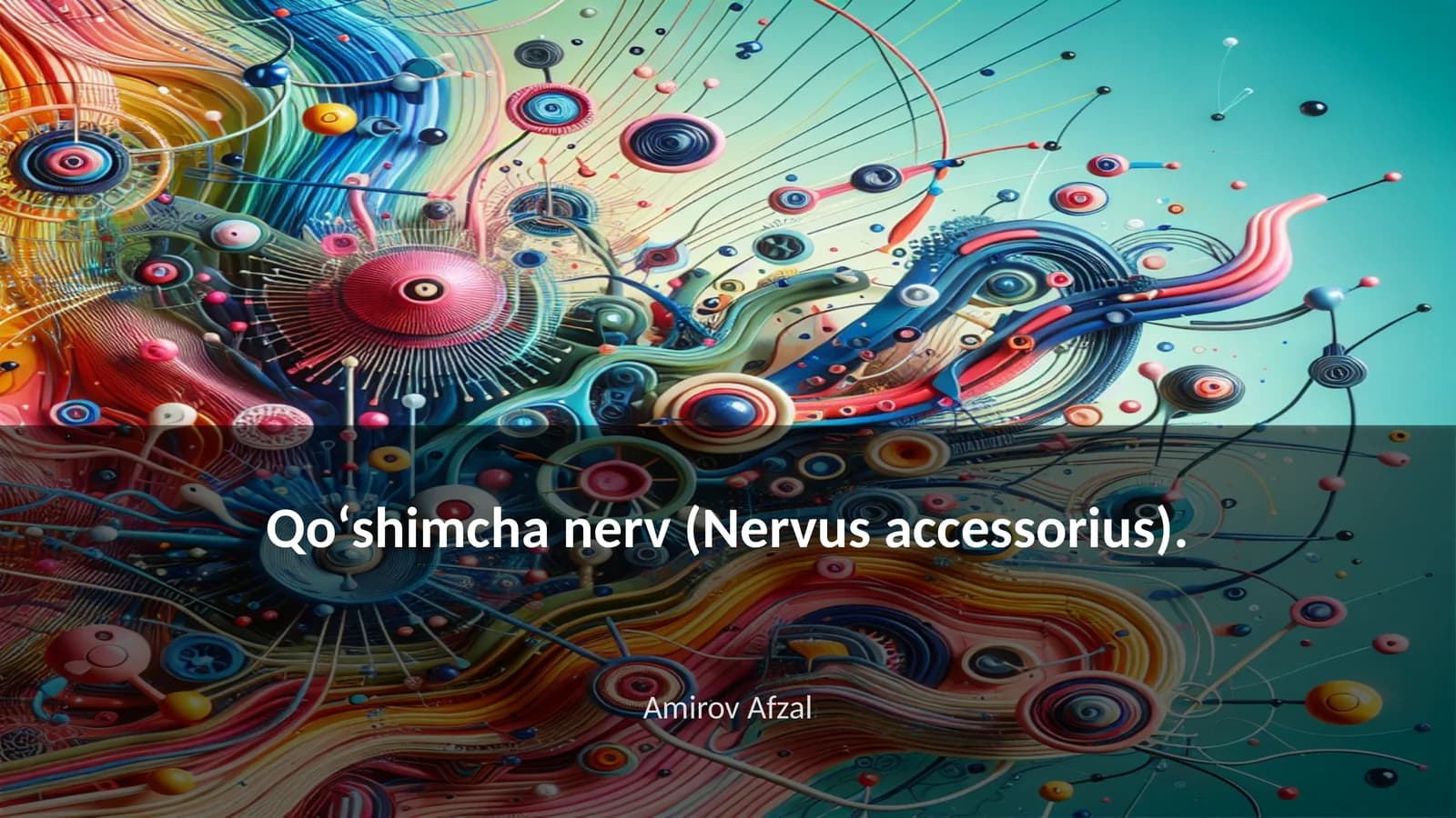 Qoʻshimcha nerv (Nervus accessorius)