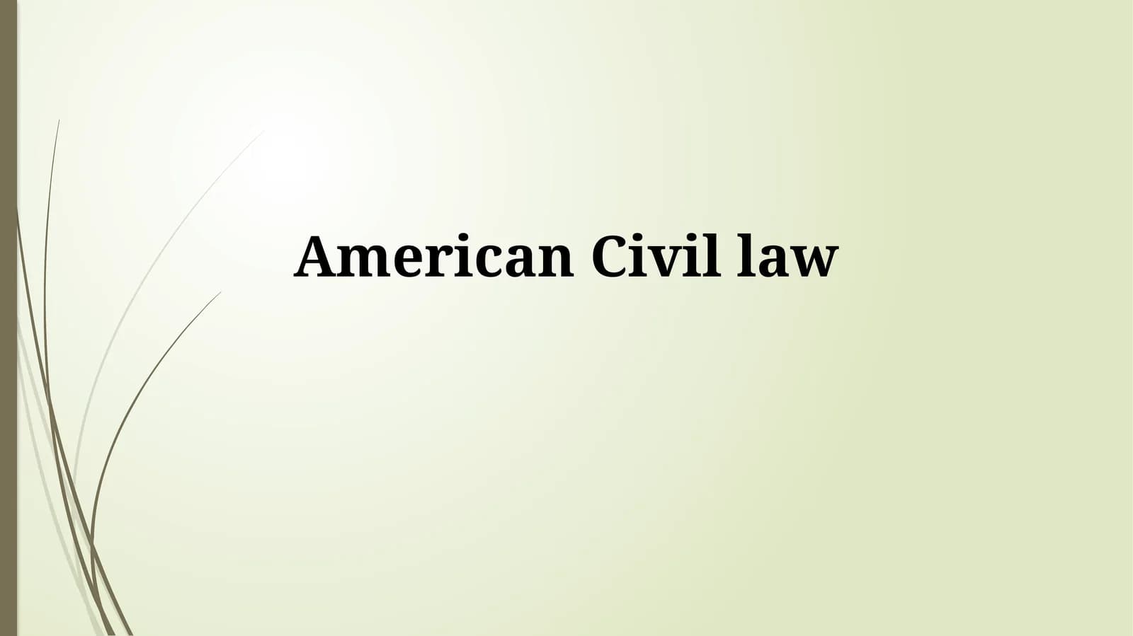 Key Features of American Civil Law