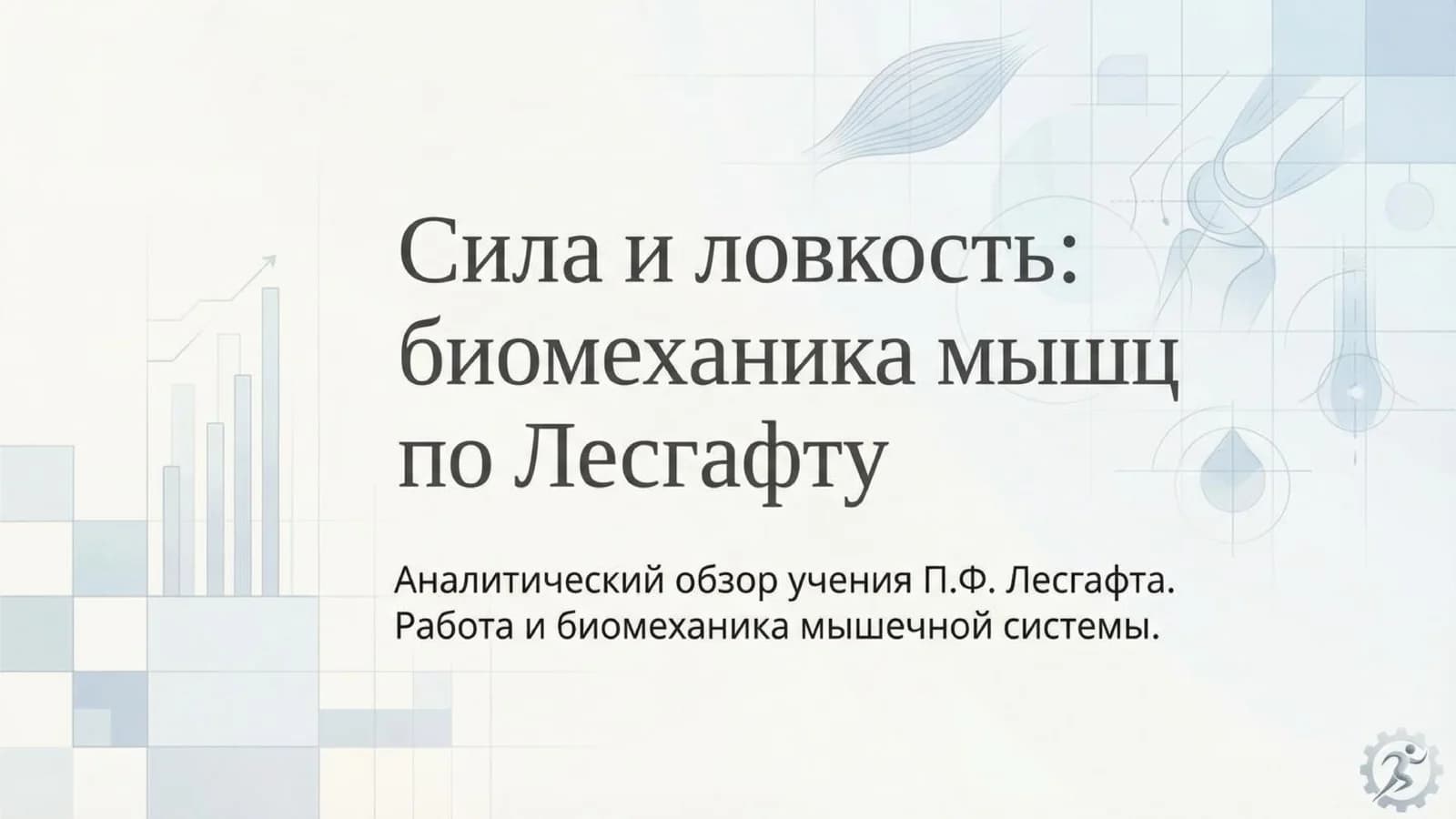 биомеханика мышц