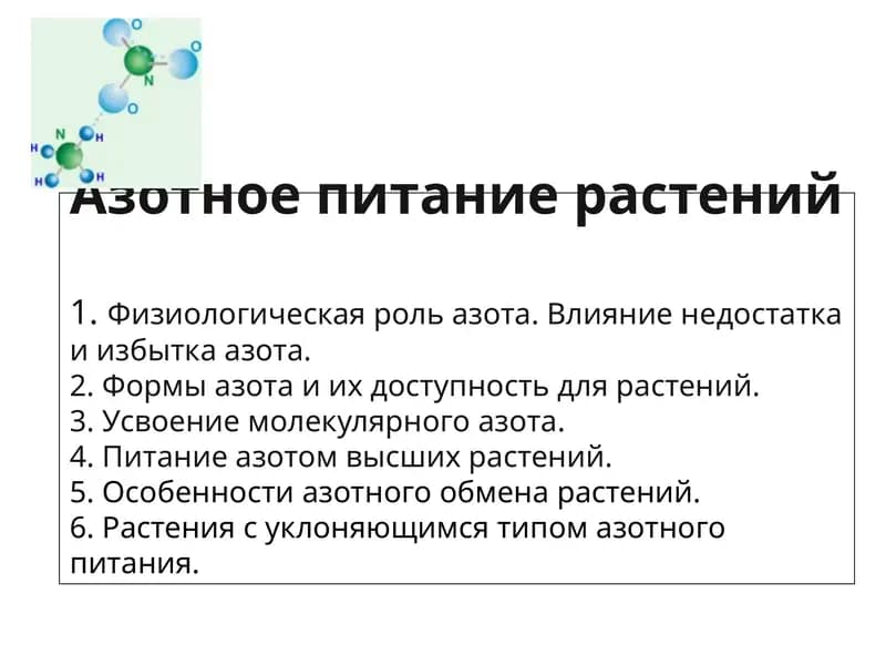 Азотное питание растений