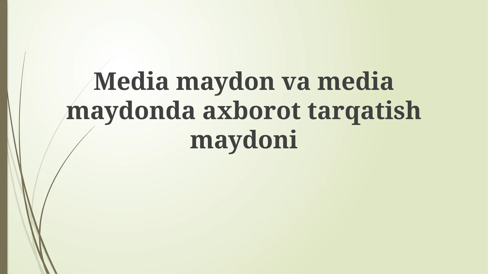 Ommaviy axborot vositalari maydoni