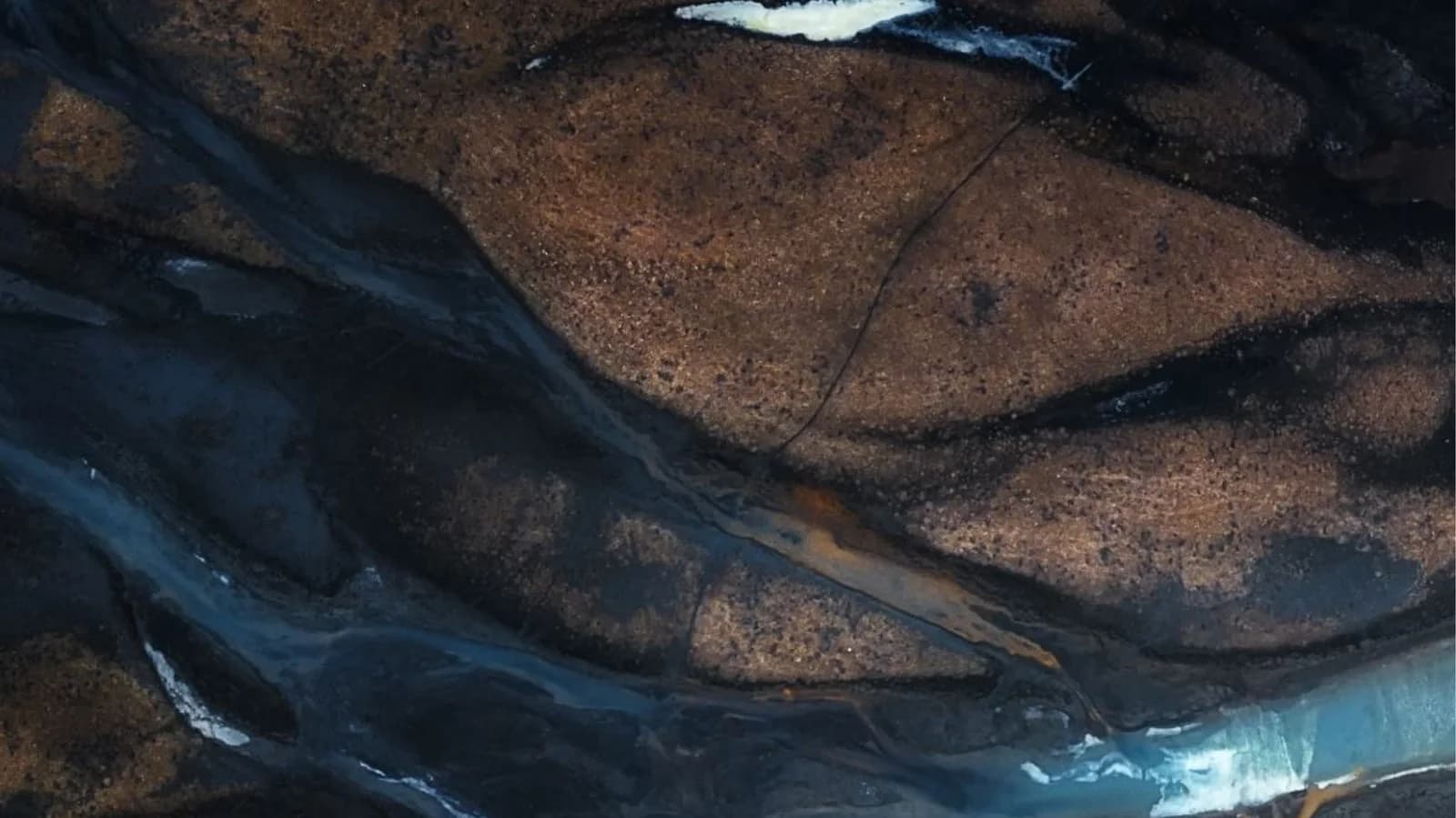 FEMUR