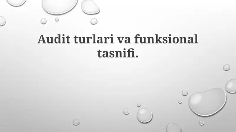 Auditorlik tekshiruvi