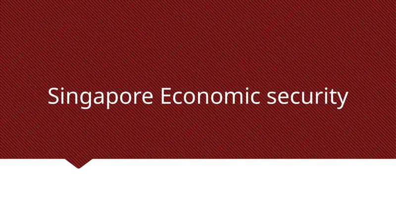 Singapore Economic security