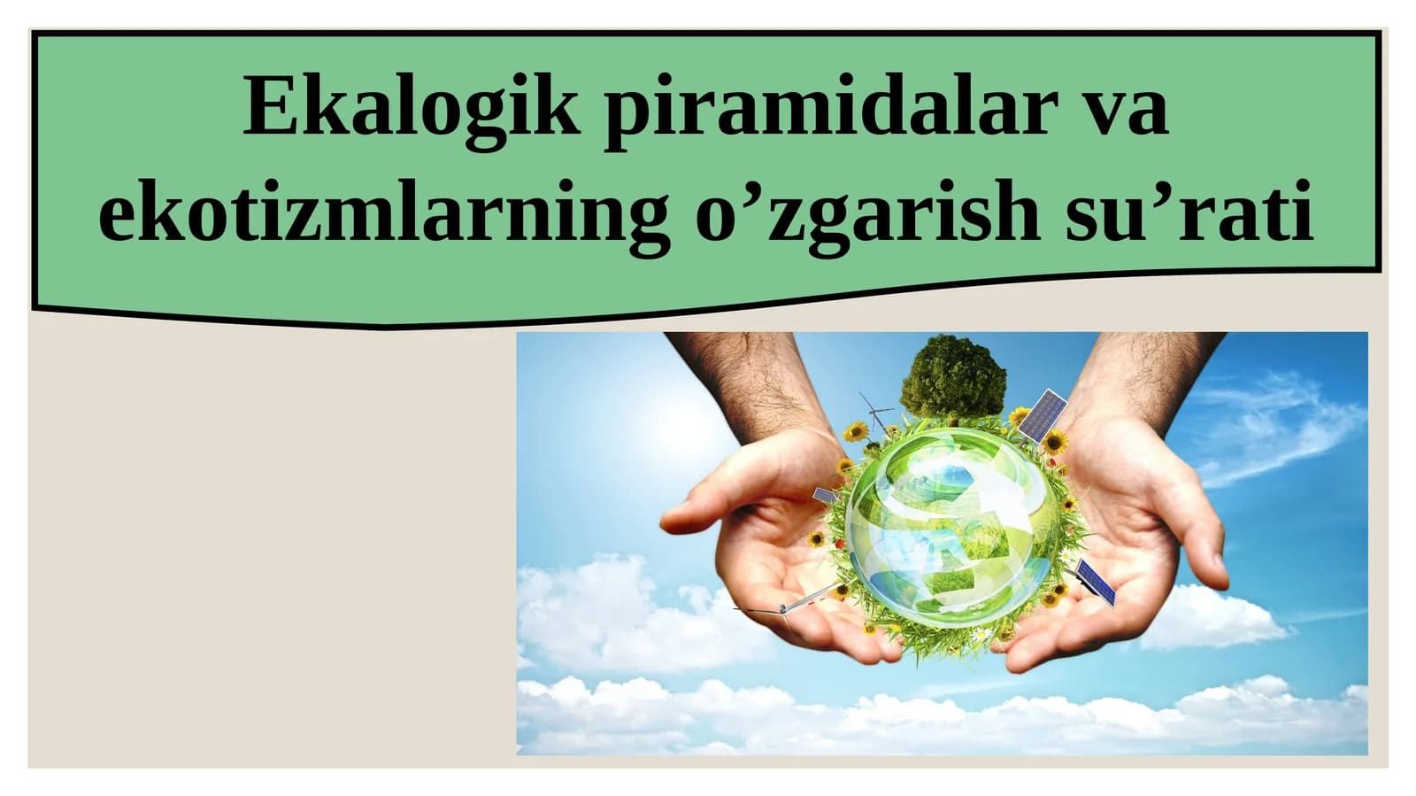 Ekologik piramidalar va ekotizmlarning o’zgarish su’rati