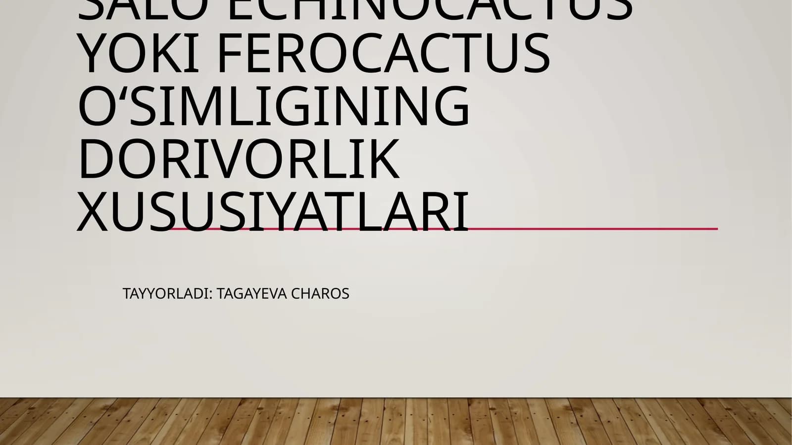 Salo Echinocactus yoki Ferocactus oʻsimligining dorivorlik xususiyatlari