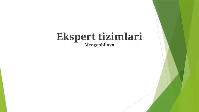 Ekspert tizimlari