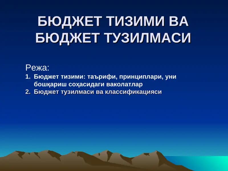 Бюджет тизими