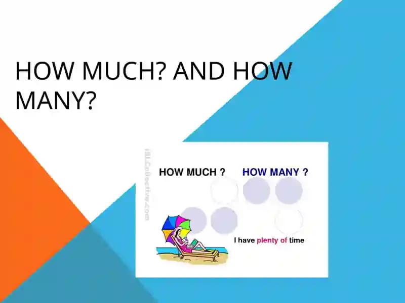 How much? and how many?