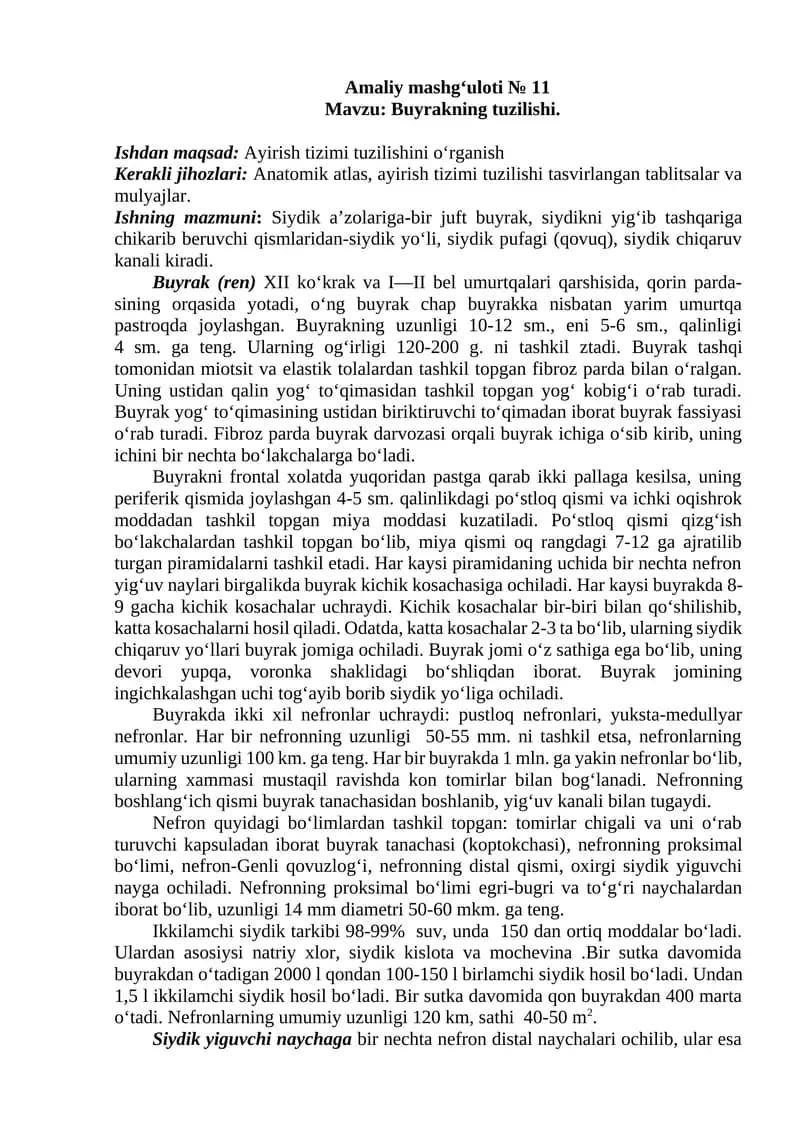 Buyrakning tuzilishi.
