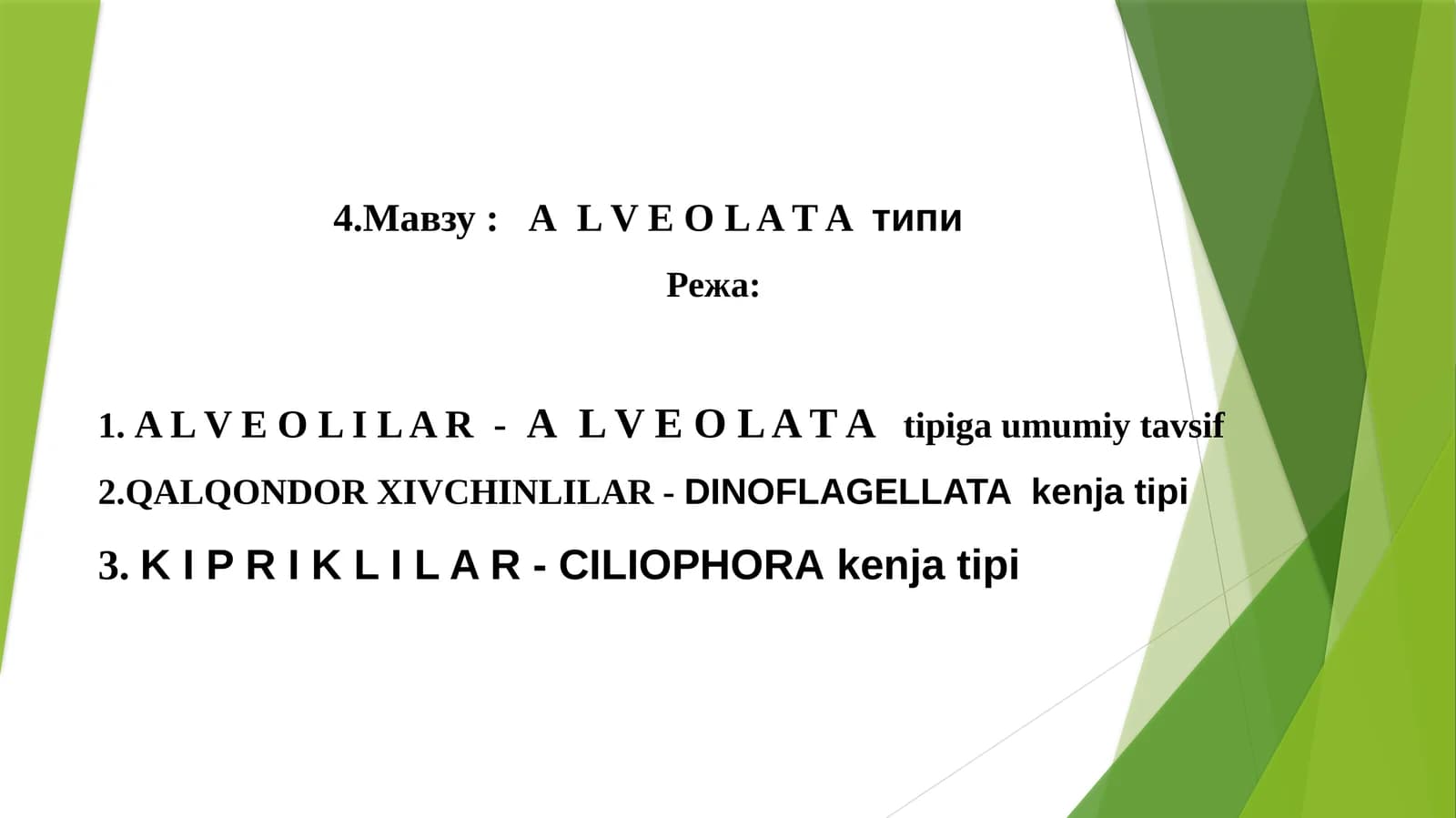 АL V E O L A T Aтипи