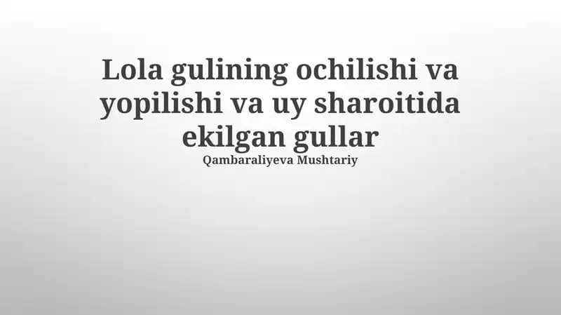 Lola Gultojisi Va Uyda Yetishtirilgan Gullarning Ochilishi