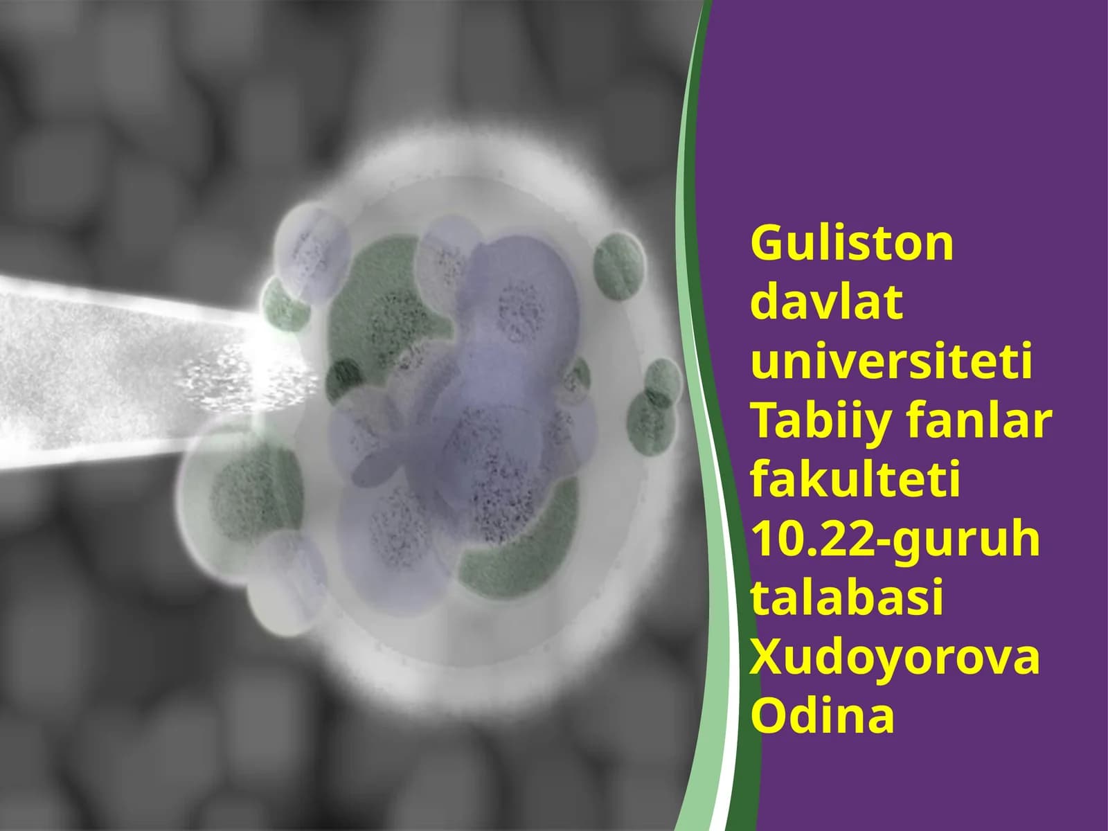 Odamlar ichagida parazitlik qiluvchi yuqumli kasalliklar va ularni oldini olish choralari