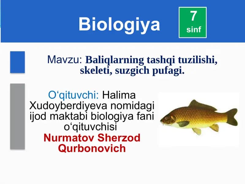 Baliqlarning tashqi tuzilishi, skeleti, suzgich pufagi