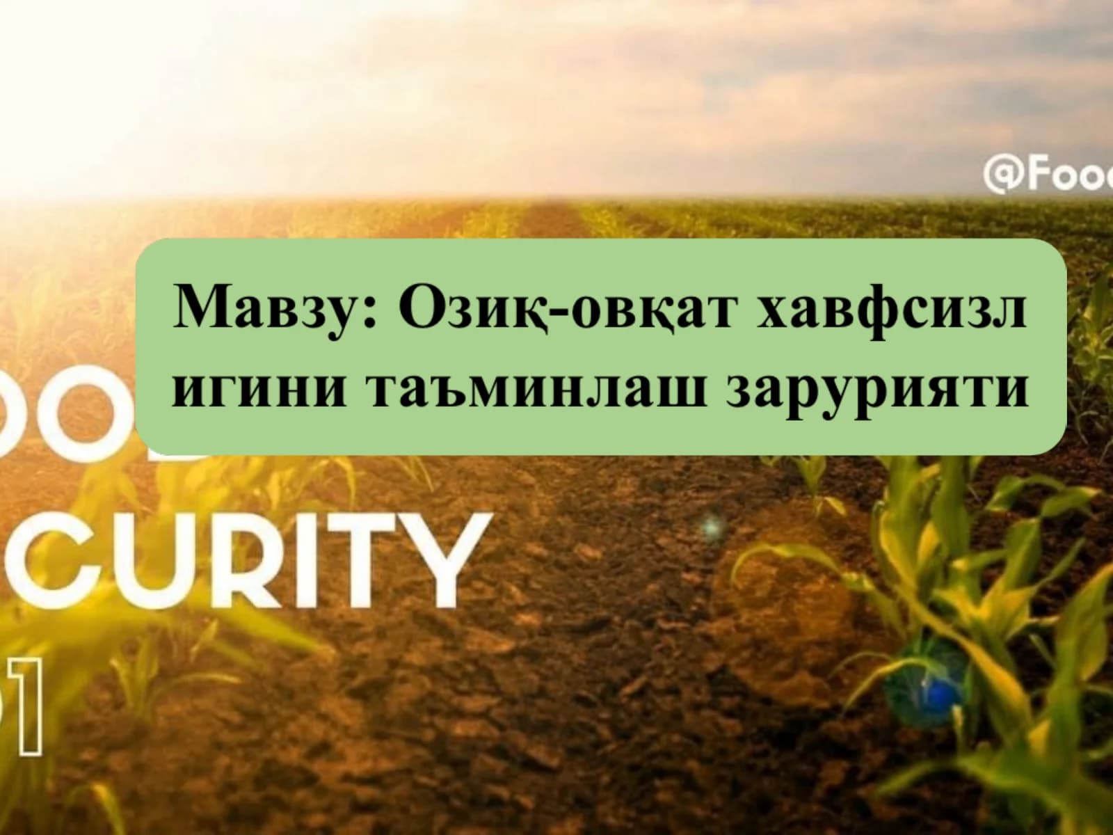 Озиқ овқат хавфсизлиги