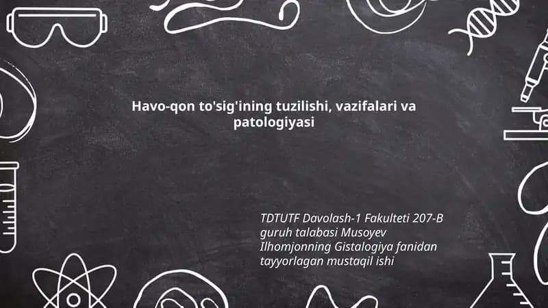 Hav va Qon To'sig'ining Tuzilishi, Vazifalari va Patologiyasi