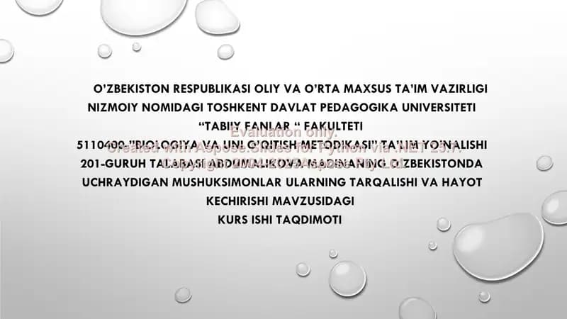 Mushuksimonlar oilasi tarqalishi va hayot kechirishi
