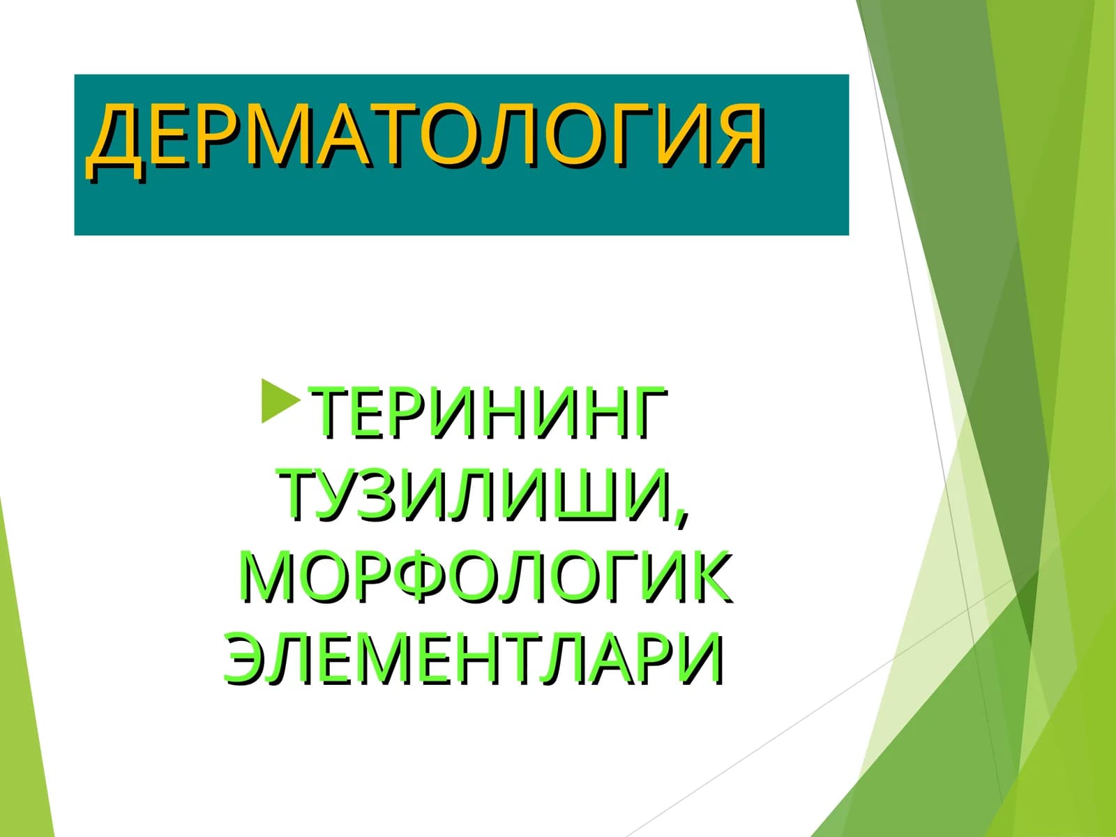 terining tuzilish elementlari