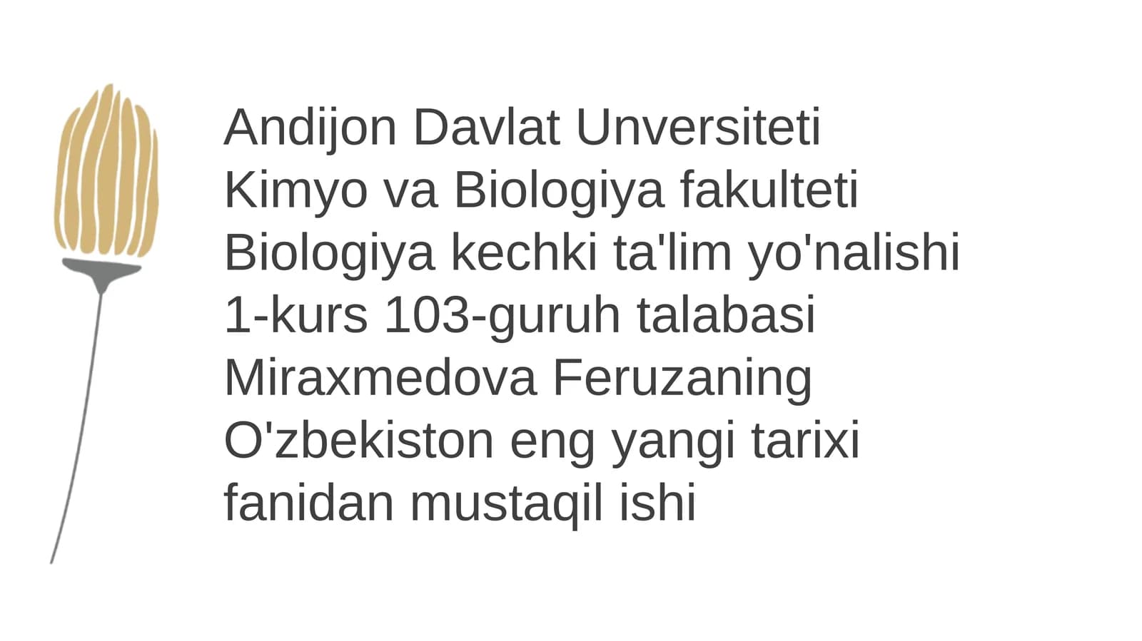 O'zbekiston va Birlashgan Millatlar Tashkiloti