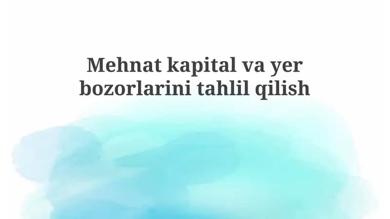 Mehnatkapital vayer bozorlari tahlili