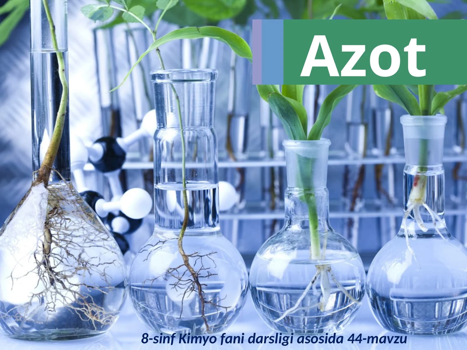 Azot