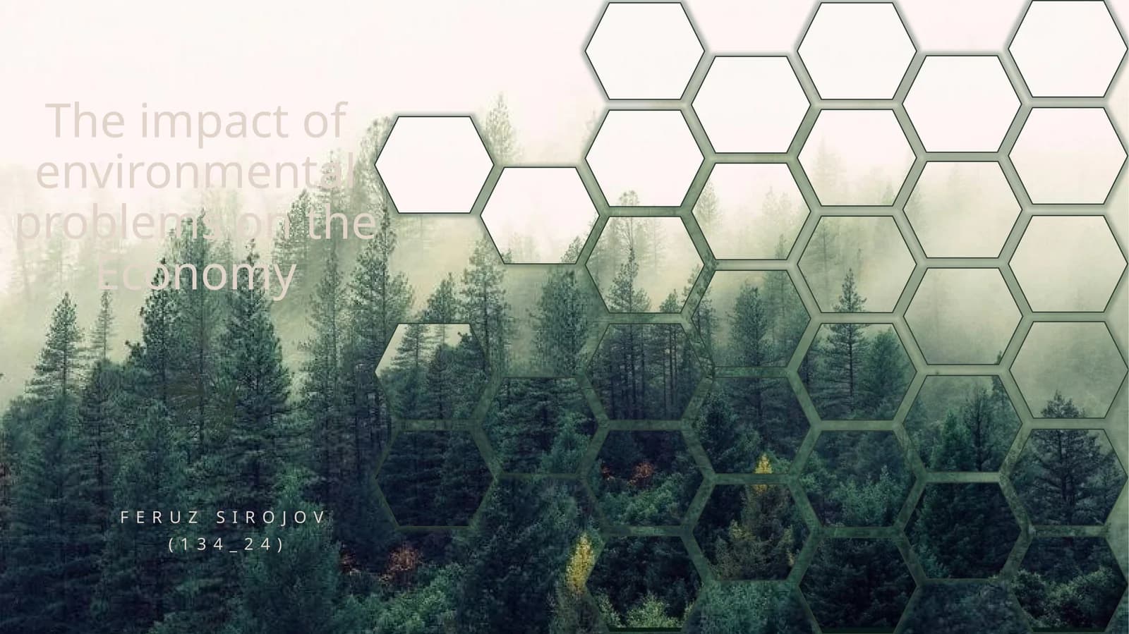 The impact of environmental problems on the Economy
