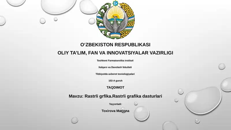 Rastrli grfika.Rastrli grafika dasturlari