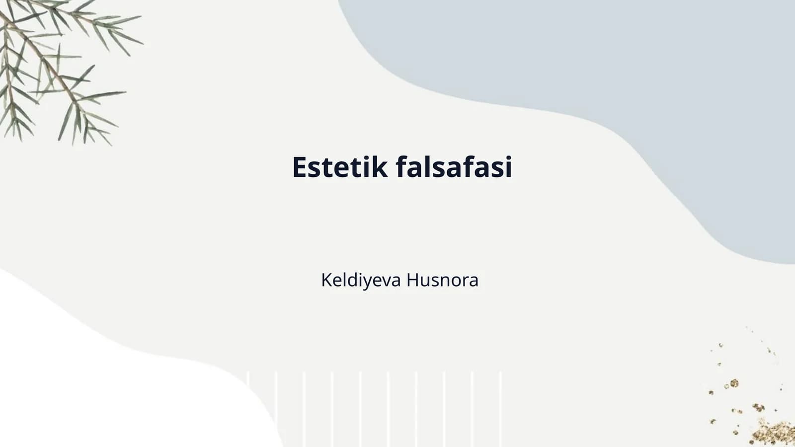 Estetik falsafasi