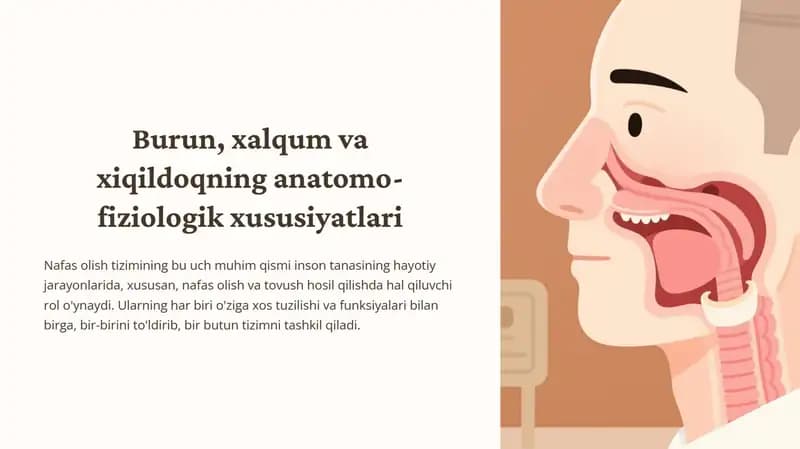 Burun, xalqum va xiqildoqning anatomo-fiziologik xususiyatlari
