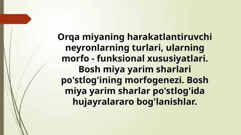 Orqa miyaning harakatlantiruvchi neyronlarning turlari, ularning morfo - funksional xususiyatlari. Bosh miya yarim sharlari po'stlog'ining morfogenezi. Bosh miya yarim sharlar po'stlog'ida hujayralararo bog'lanishlar.