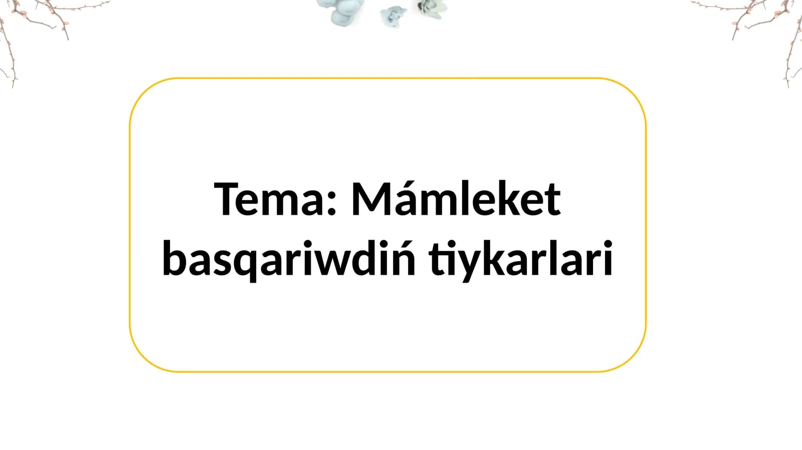 Mámleket basqariwdiń tiykarlari