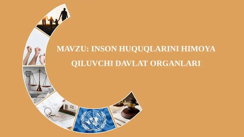 Inson huquqlarini himoya qiluvchi davlat organlari