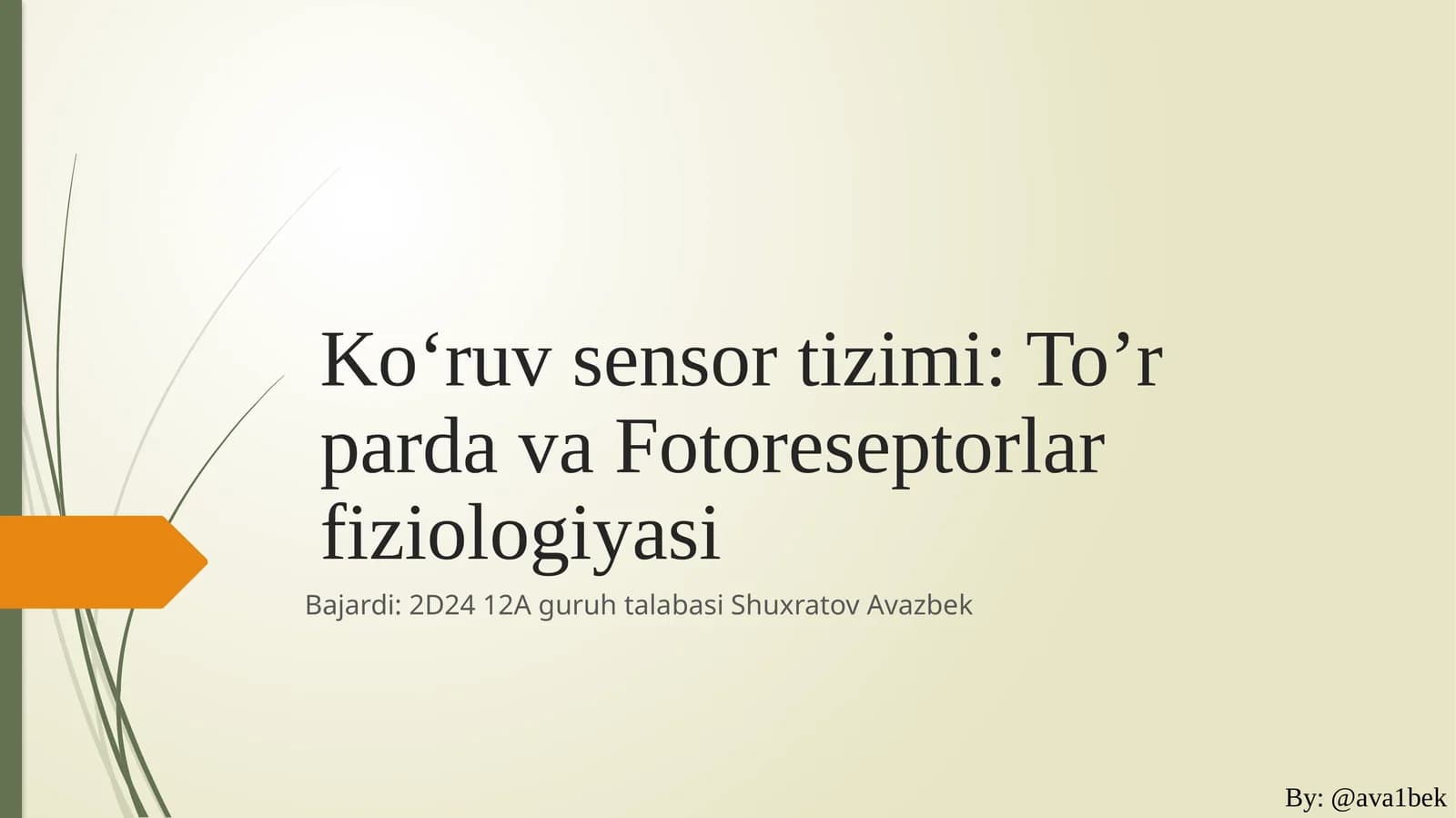 Ko‘ruvsensortizimi:To’rpardavaFotoreseptorlarfiziologiyasi