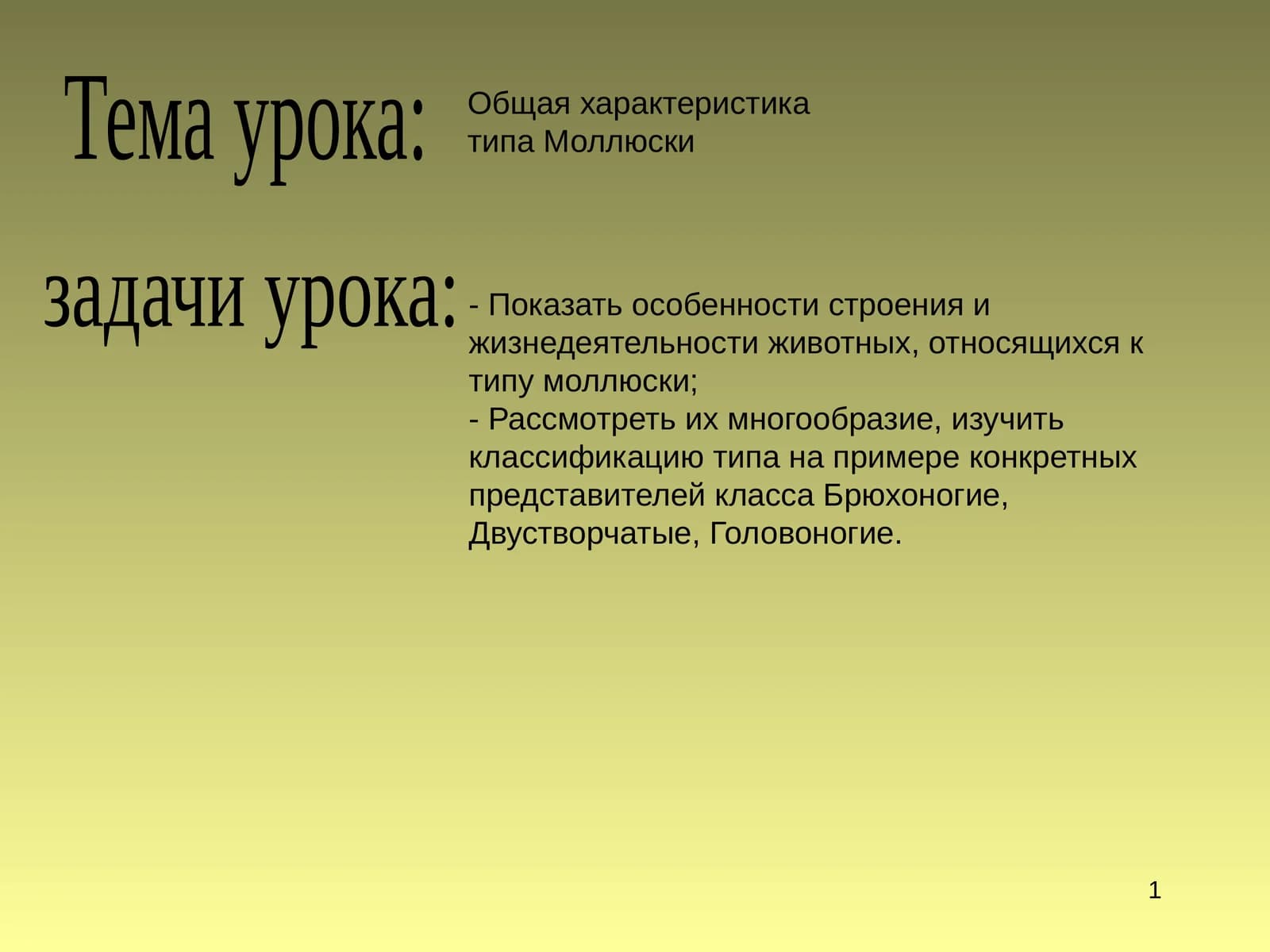 Моллюсклар