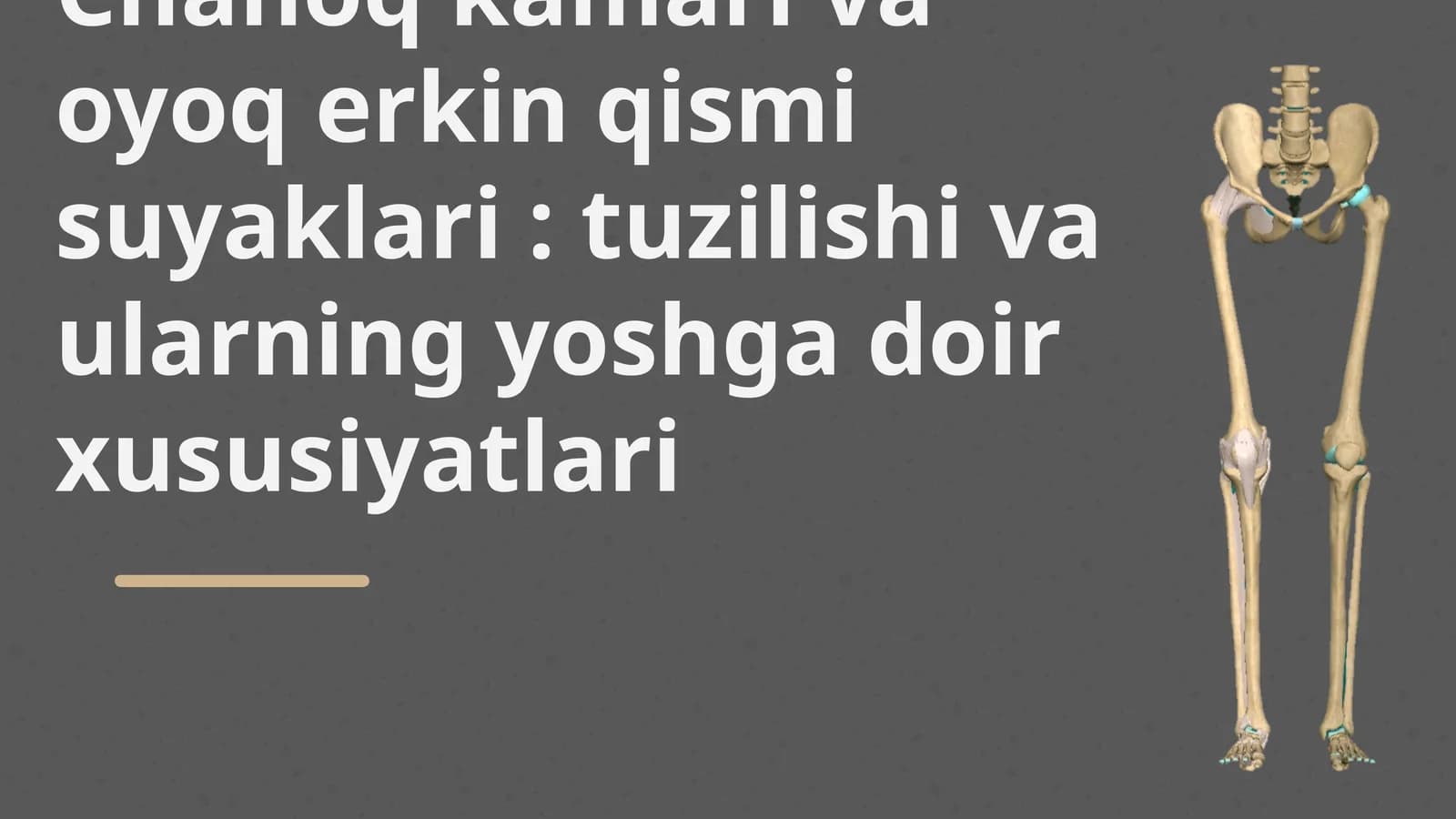 Chanoq kamari va oyoq erkin qismi suyaklari : tuzilishi va ularning yoshga doir xususiyatlari