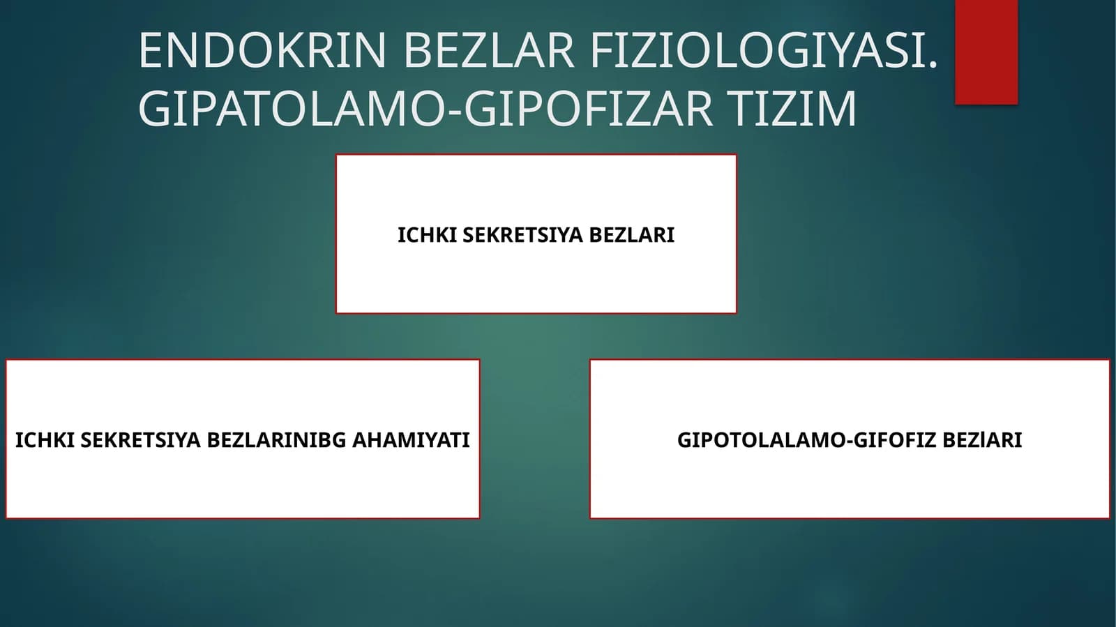 ENDOKRIN BEZLAR FIZIOLOGIYASI.GIPATOLAMO-GIPOFIZAR TIZIM