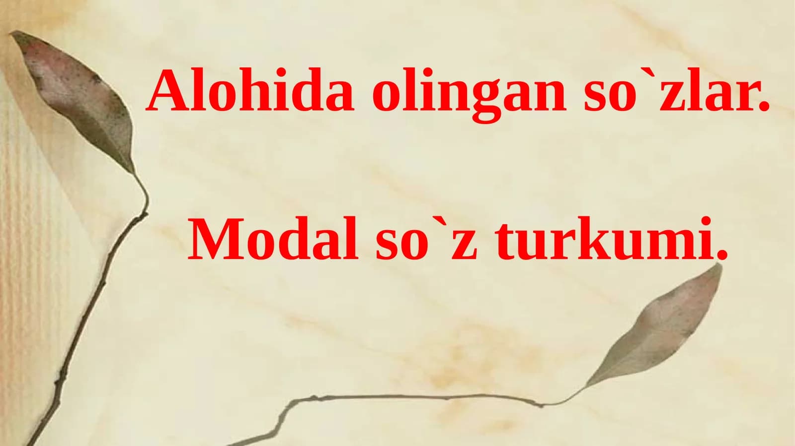 Alohida olingan soʻzlar. Modalsoʻz turkumi