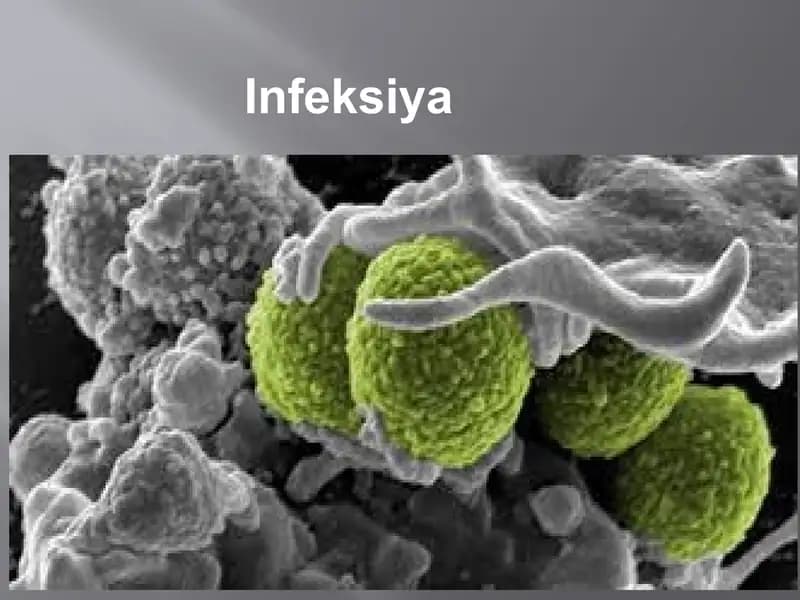 Infeksiya