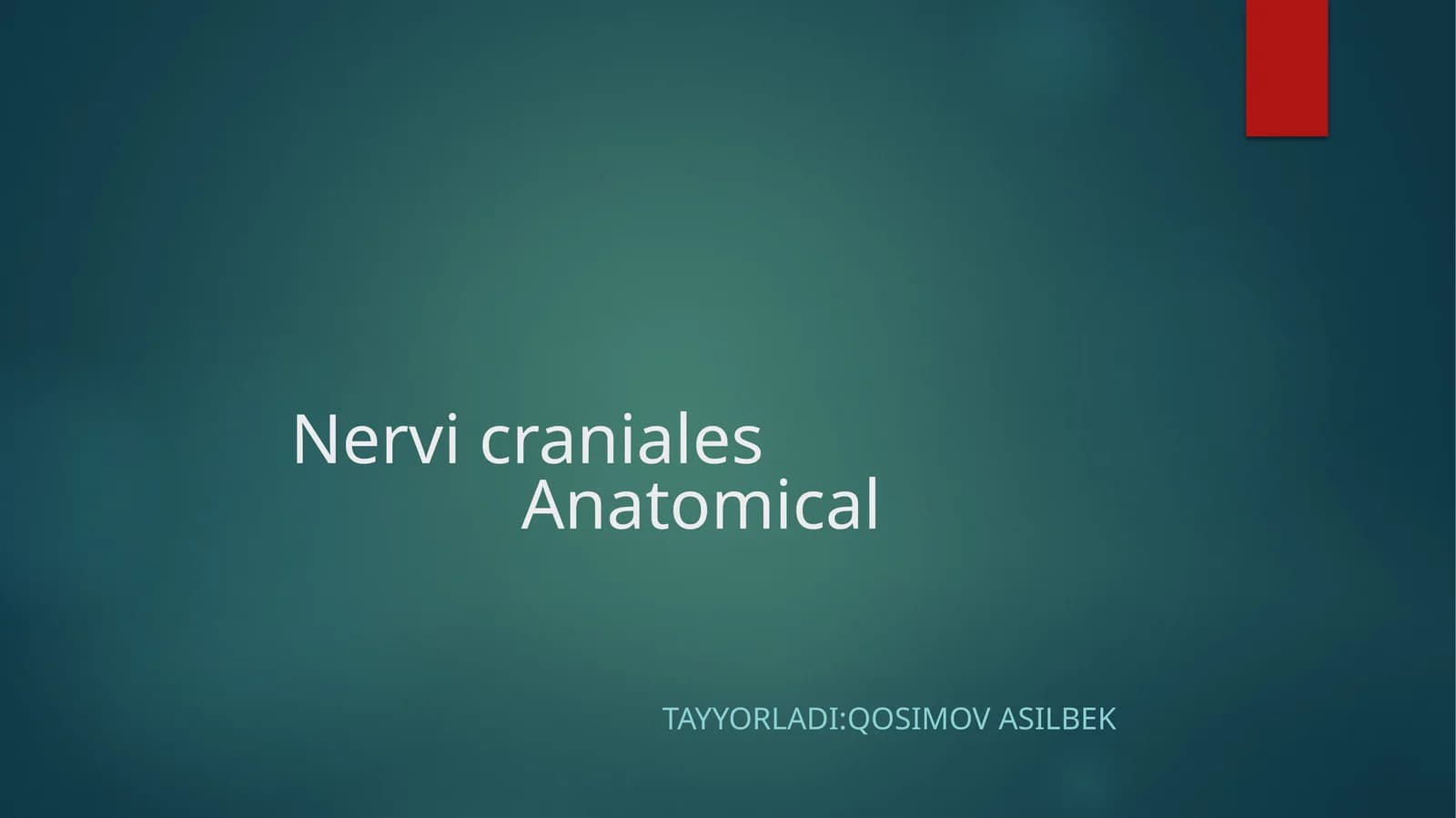 Nervi cranialesAnatomical