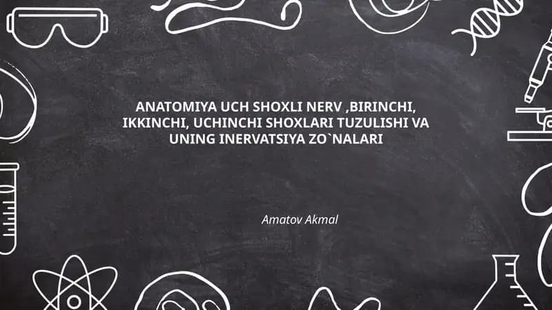 Uch shoxli nerv, birinchi, ikkinchi, uchinchi shoxlari tuzulishi va uning inervatsiya zo`nalari