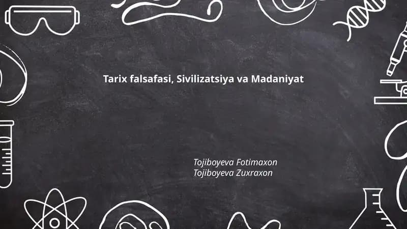 Tarix falsafasi, Sivilizatsiya va Madaniyat