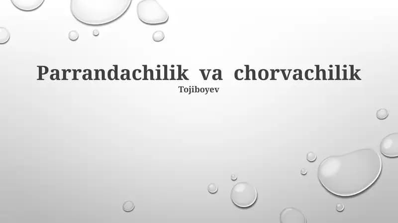 Parrandachilik va chorvachilik