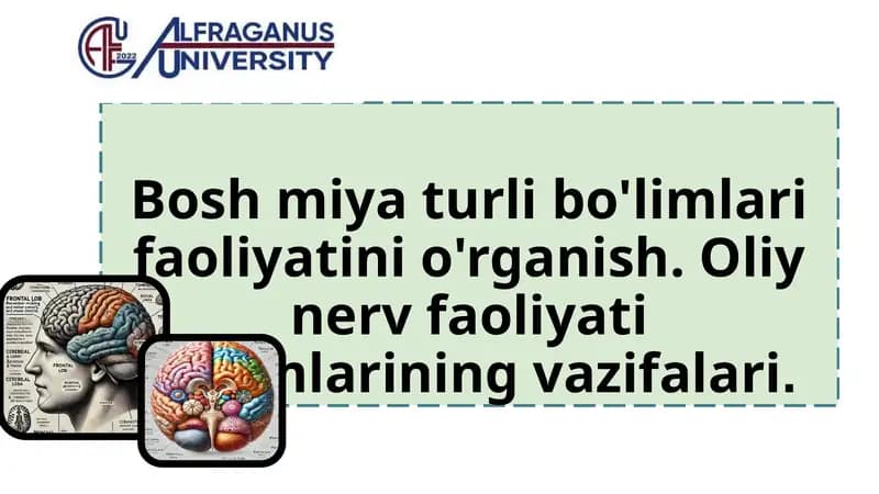 Bosh miya turli bo'limlari faoliyatini o'rganish. Oliy nerv faoliyati bo'limlarining vazifalari.