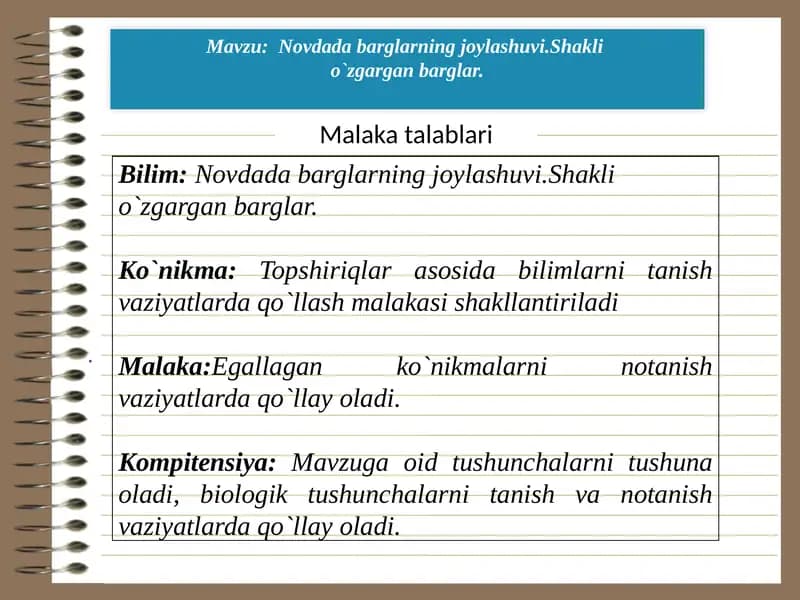 Novdada barglarning joylashuvi.Shakli  o`zgargan barglar.