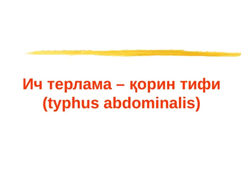 Ич терлама –қорин тифи (typhus abdominalis)
