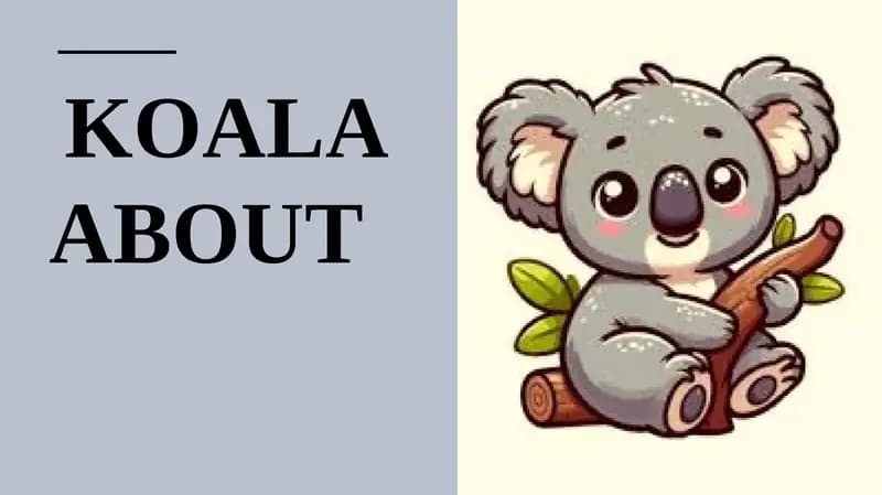 Koala about